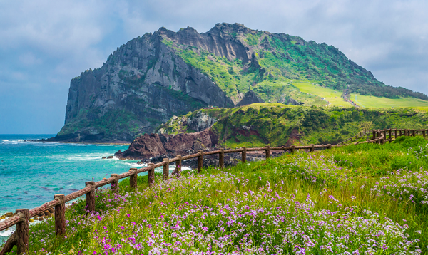 済州島：美しい冒険