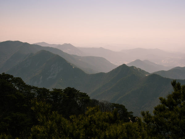 Der Weg zu einer gesunden Reise: Wandern in Südkorea